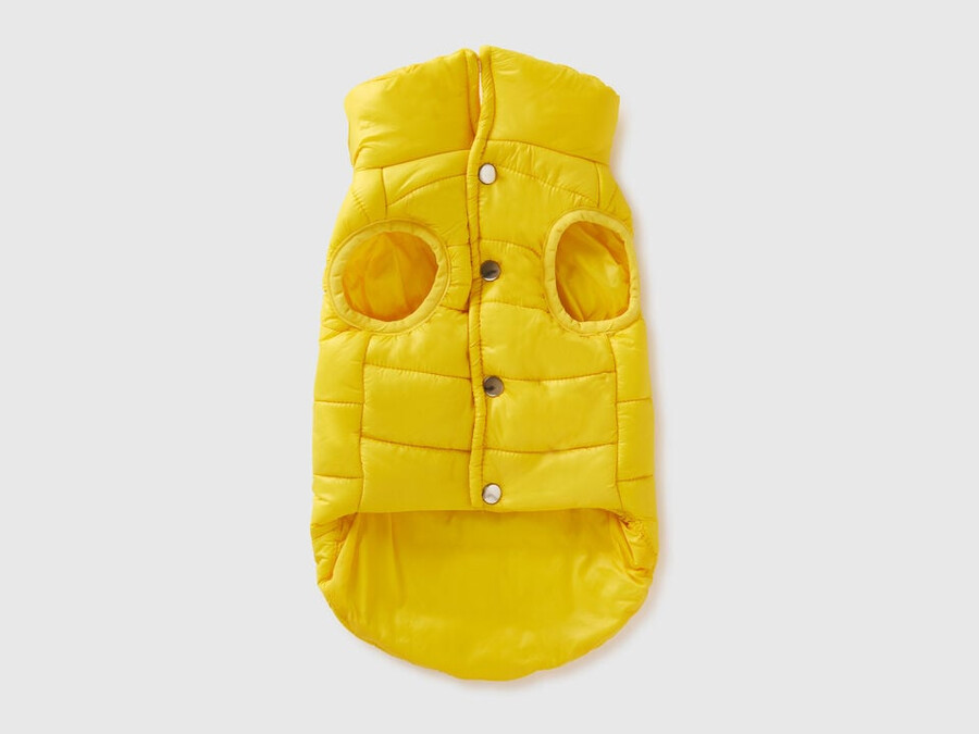 chaqueta acolchada amarilla para perros