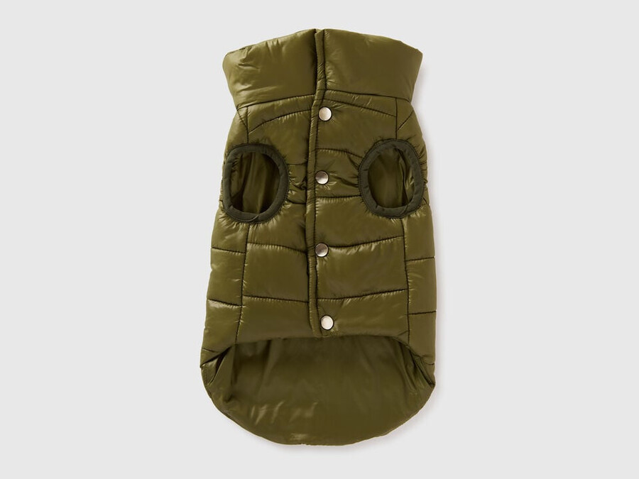 chaqueta acolchada verde para perros