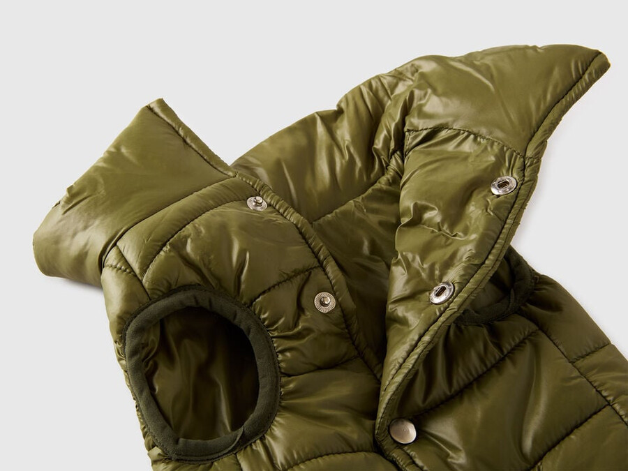 chaqueta acolchada verde para perros